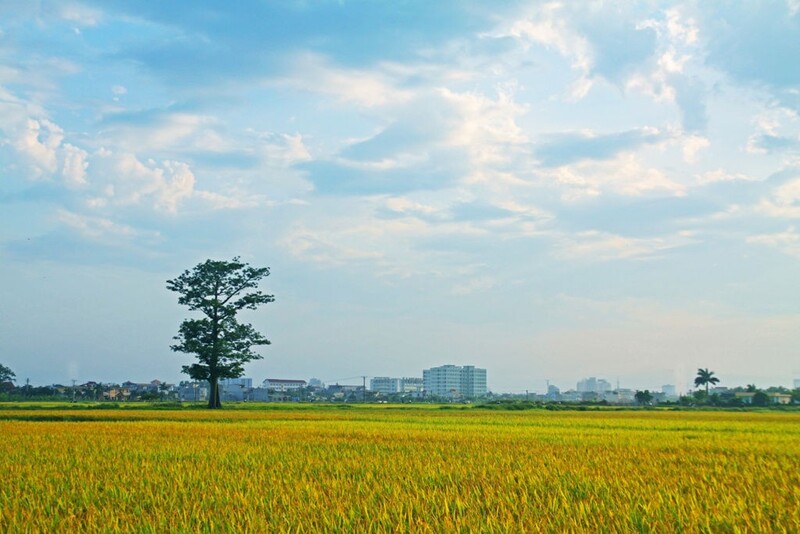 Dịch vụ chuyển tiền sang Nhật Bản uy tín tại Thái Bình