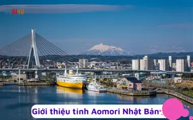Dịch Vụ Chuyển Tiền Uy Tín Từ Nhật Bản Về Việt Nam Tại Tỉnh Aomori
