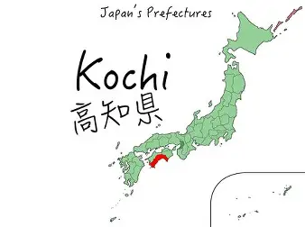 Dịch Vụ Chuyển Tiền Sang Việt Nam Uy Tín Tại Tỉnh Kochi