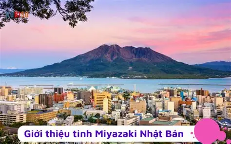 Dịch vụ chuyển tiền sang Việt Nam uy tín tại Tỉnh Miyazaki Nhật Bản