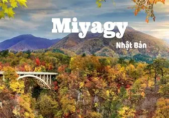 Dịch vụ chuyển tiền sang Việt Nam uy tín tại tỉnh Miyagi Nhật Bản