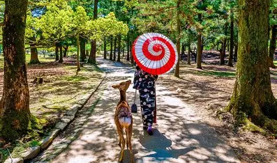Dịch vụ chuyển tiền sang Việt Nam uy tín tại tỉnh Nara