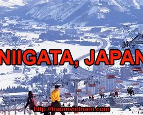 Dịch vụ chuyển tiền sang Việt Nam uy tín tại Tỉnh Niigata Nhật Bản